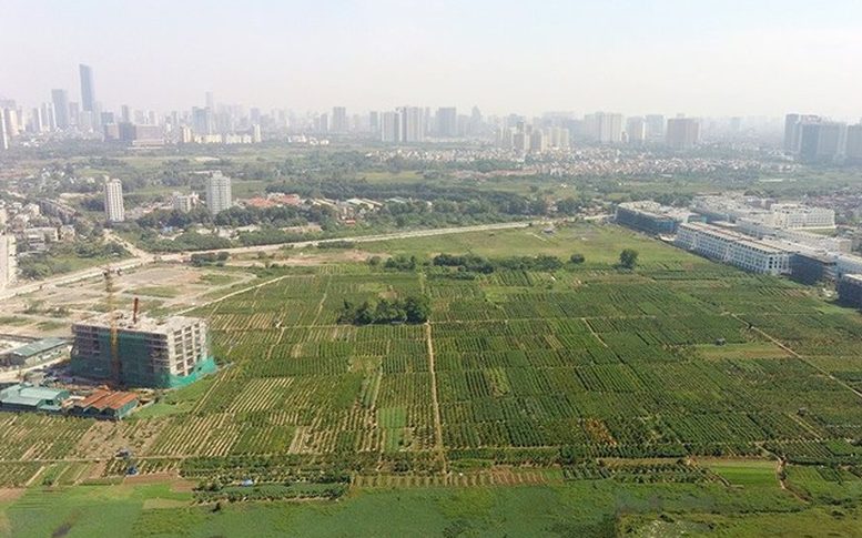 Chuyển đất nông nghiệp sang đất ở phải phù hợp quy hoạch nào? - Ảnh 1