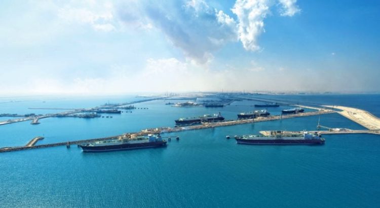 Không phải sầu riêng, Trung Quốc tăng mua một 'mỏ vàng' từ Việt Nam: Xuất khẩu tăng hơn 100%, thu về hơn 1,3 tỷ USD