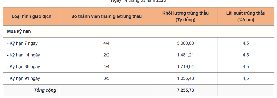 NHNN bơm thanh khoản VND dài hạn hơn - Ảnh 1