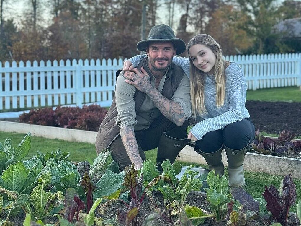 Beckham về quê làm vườn - Ảnh 1