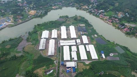 Sữa Tươi Kun: Mô hình chuỗi liên kết trong chăn nuôi bò sữa và hạnh phúc của những người nông dân