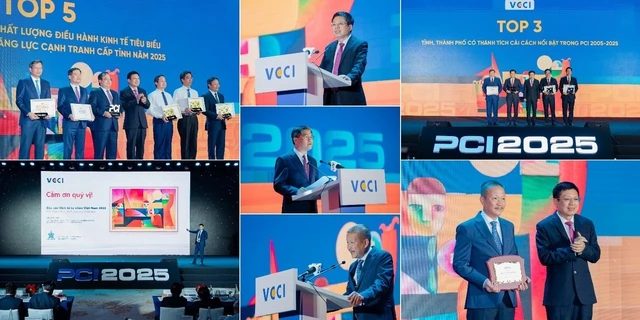 Doanh nghiệp Việt lớn lên thế nào trong một môi trường thể chế đang đổi mới? - Ảnh 1