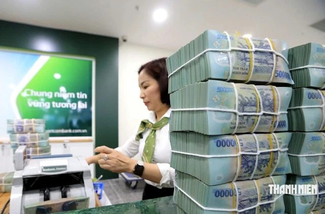 Ít nhất 300.000 doanh nghiệp nhỏ và vừa có dư nợ tại ngân hàng vào năm 2030 - Ảnh 1