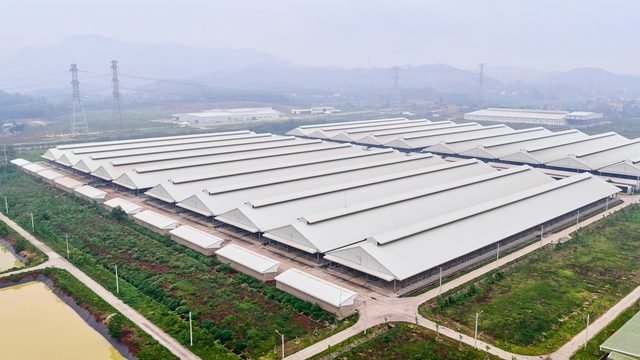 Thị trường thịt bò đa dạng: Người tiêu dùng tìm đâu ra thịt bò chuẩn? - Ảnh 1