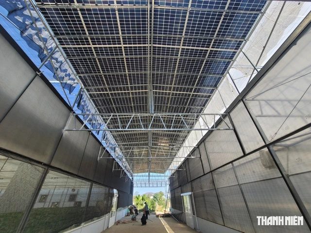 Không phải cứ có đất là được lắp điện mặt trời - Ảnh 1