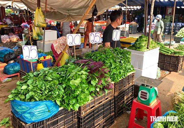 Rau củ tăng giá, trái cây dội chợ - Ảnh 1