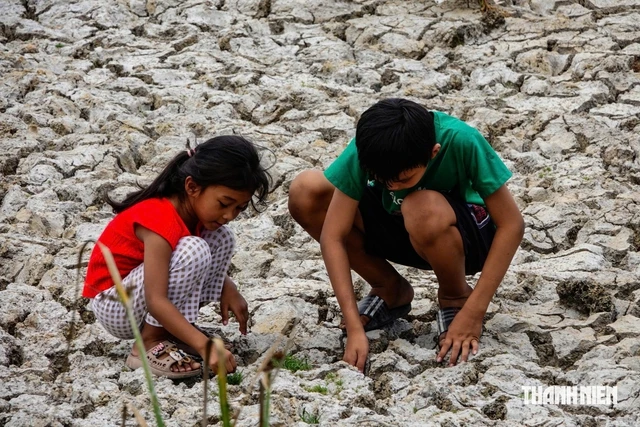 WMO: El Nino rất mạnh kéo dài đến tháng 2.2027