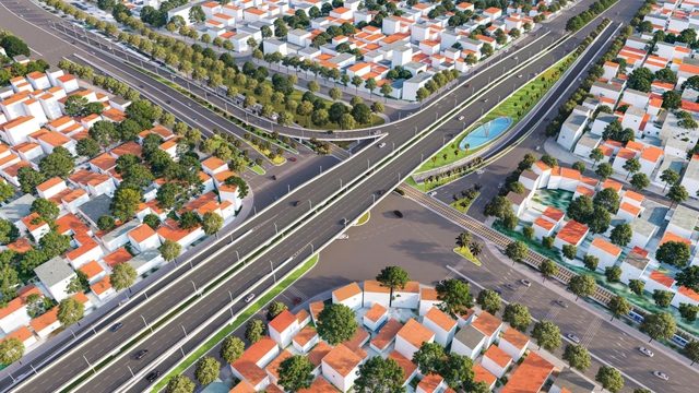 TP.HCM di dời gần 190 cây xanh, chuẩn bị thi công nút giao Vành đai 2 - Ảnh 1