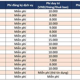 Khách hàng được khuyên dùng SMS Banking để theo dõi tài khoản, vậy các ngân hàng đang thu phí tin nhắn tới điện thoại thế nào? - Ảnh 1.