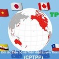 Việt Nam thời CPTPP