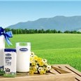 Vinamilk đăng ký mua 16.865 cổ phiếu quỹ