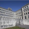 WTO: Chủ nghĩa bảo hộ thương mại sẽ hủy hoại thành quả tăng trưởng thương mại toàn cầu