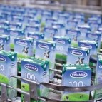 Vinamilk soán ngôi Unilever trở thành nơi làm việc tốt nhất Việt Nam