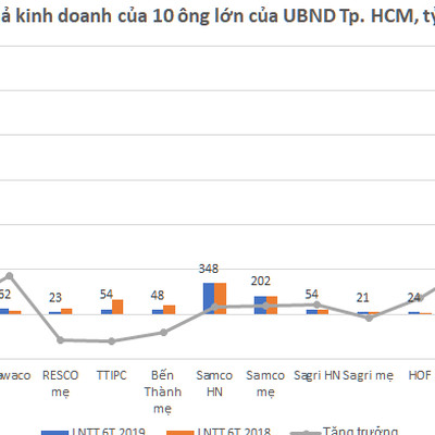 10 doanh nghiệp "con cưng" của Tp.HCM đang kinh doanh ra sao?