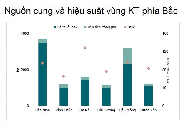 Điểm trừ lớn nhất của bất động sản công nghiệp Việt Nam - Ảnh 1.