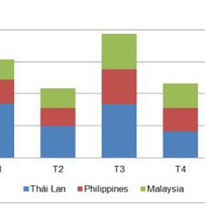 Cá tra Việt "tấn công" thị trường ASEAN, xuất khẩu tăng mạnh