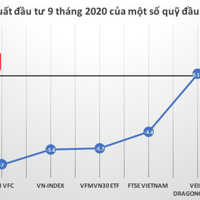 Các quỹ đầu tư đã "thảm hại" thế nào trong năm 2020?