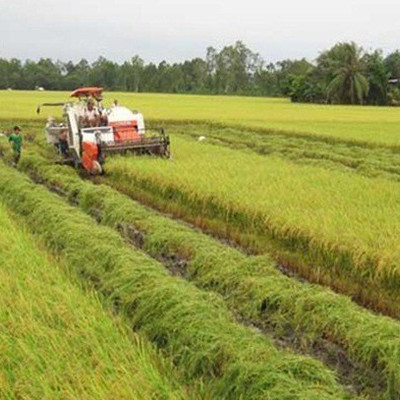 Chuyển nhượng đất nông nghiệp: Chủ yếu vẫn là giao dịch "ngầm"