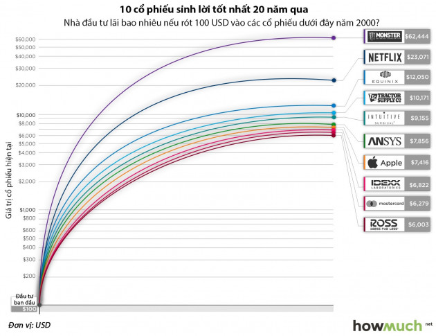 Cổ phiếu nào sinh lời tốt nhất tại Mỹ 20 năm qua?