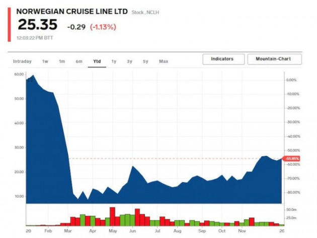 Cổ phiếu nào tăng điểm mạnh nhất trong S&P 500 năm 2020? - Ảnh 8.