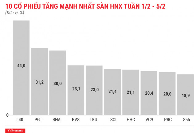 Cổ phiếu RIC có phiên tăng trần thứ 20 liên tiếp - Ảnh 5.