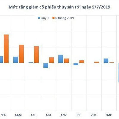 Cổ phiếu thủy sản nửa đầu năm: Những "vị vua" lao dốc