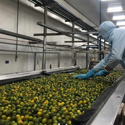 Doanh nghiệp xuất nhập khẩu lao đao giữa “muôn trùng vòng vây” chi phí