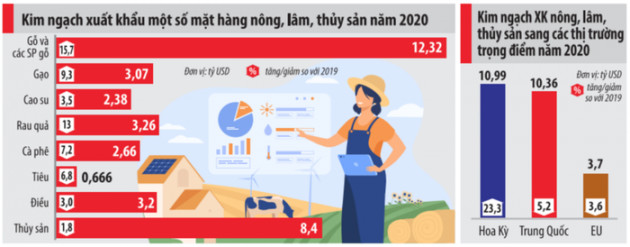 Bức tranh xuất khẩu ngành nông nghiệp năm 2020 - Ảnh 1.