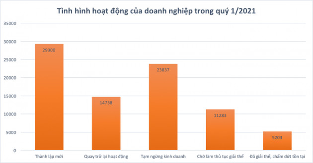 Doanh nghiệp bất động sản thành lập mới tăng mạnh - Ảnh 1.