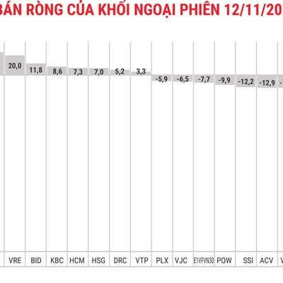 Đột biến VNM, khối ngoại bán ròng mạnh nhất 1 tháng