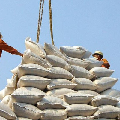 Giá gạo xuất khẩu tụt dốc, giá lúa trong nước rớt mạnh