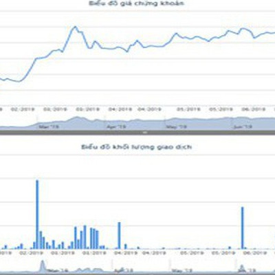 GTN báo lãi giảm mạnh, mới đạt hơn 20% kế hoạch năm