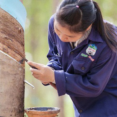 HAG và HNG lấy lại những gì đã mất sau thông tin giải trình thiệt hại vụ vỡ đập ở Lào