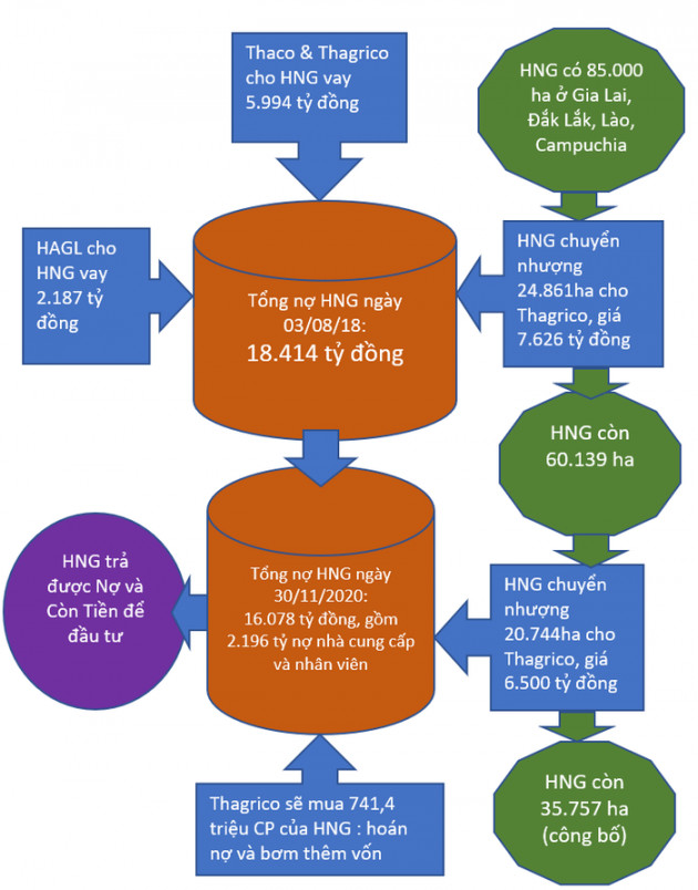 Hành trình HAGL Agrico “thoát khỏi bờ vực phá sản” - Ảnh 1.