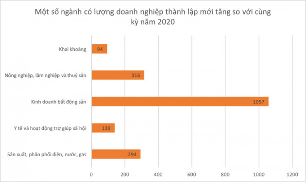 2 tháng đầu năm, doanh nghiệp bất động sản thành lập mới tăng mạnh - Ảnh 1.