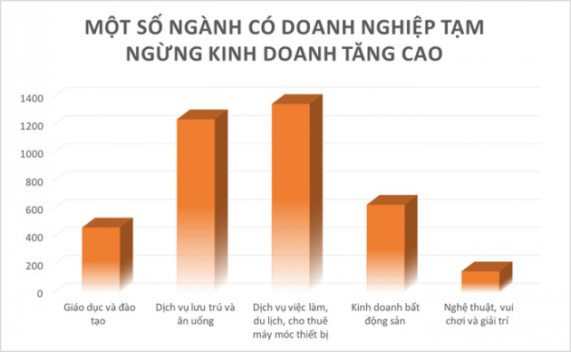 2 tháng đầu năm, doanh nghiệp bất động sản thành lập mới tăng mạnh - Ảnh 3.