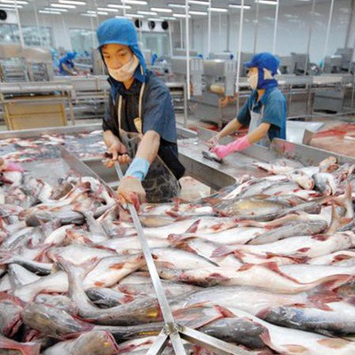 HVG lại chuyển lãi thành lỗ sau kiểm toán, dấu hỏi về khả năng trả nợ