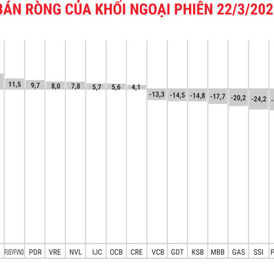 Khối ngoại tiếp tục bán ròng 451 tỷ đồng