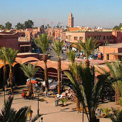 Khuyến cáo doanh nghiệp Việt không giao dịch với một công ty tại Maroc