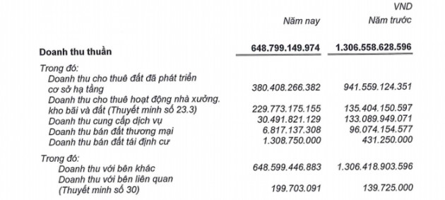 Công nghiệp Tân Tạo: Lợi nhuận giảm, nhiều dấu hỏi về tài chính kinh doanh - Ảnh 2.