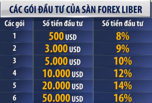&quot;Khủng bố&quot; điện thoại chào mời đầu tư Forex siêu lợi nhuận - Ảnh 2.