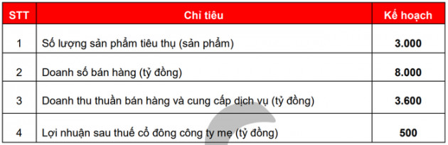 Năm 2021: An Gia tăng vốn gấp đôi để gia tăng quỹ đất - Ảnh 1.