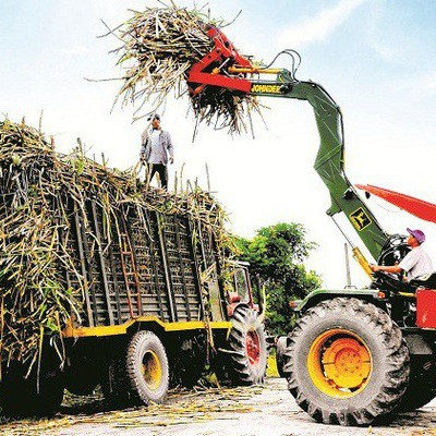 “Sóng ngầm” tại TTC Sugar