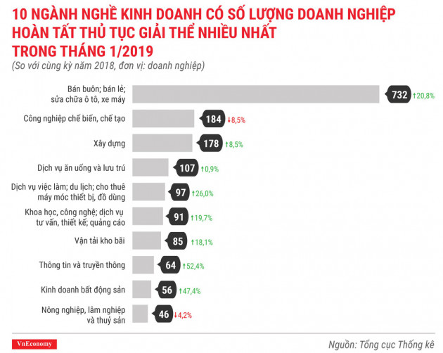 Tình hình thành lập doanh nghiệp tháng 1/2019 qua các con số - Ảnh 10.