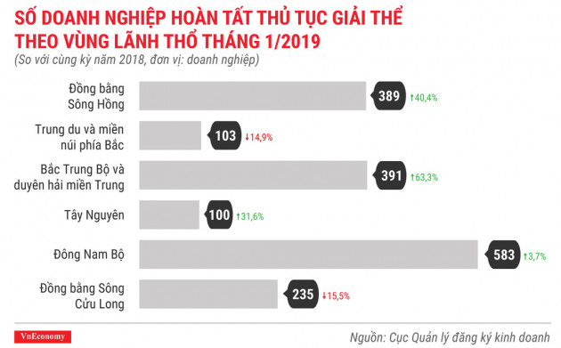 Tình hình thành lập doanh nghiệp tháng 1/2019 qua các con số - Ảnh 6.