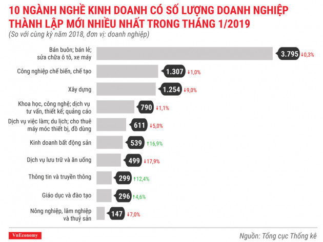 Tình hình thành lập doanh nghiệp tháng 1/2019 qua các con số - Ảnh 7.