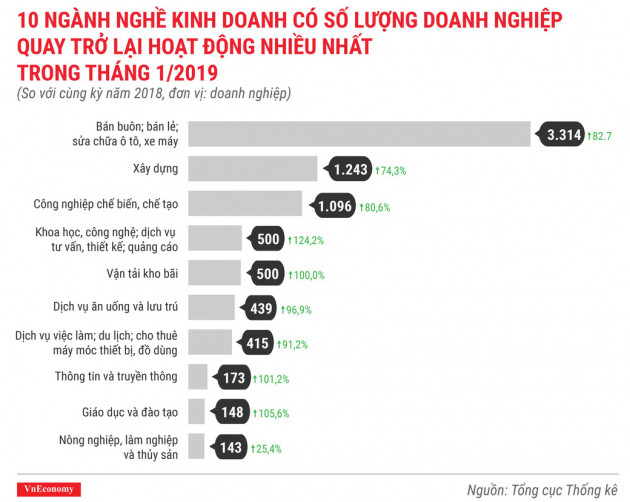 Tình hình thành lập doanh nghiệp tháng 1/2019 qua các con số - Ảnh 8.