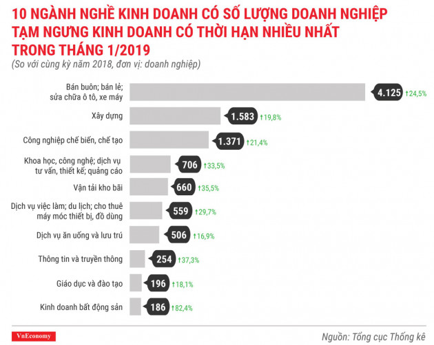 Tình hình thành lập doanh nghiệp tháng 1/2019 qua các con số - Ảnh 9.