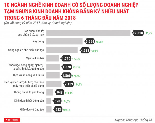 Toàn cảnh bức tranh thành lập doanh nghiệp quý 2/2018 - Ảnh 10.