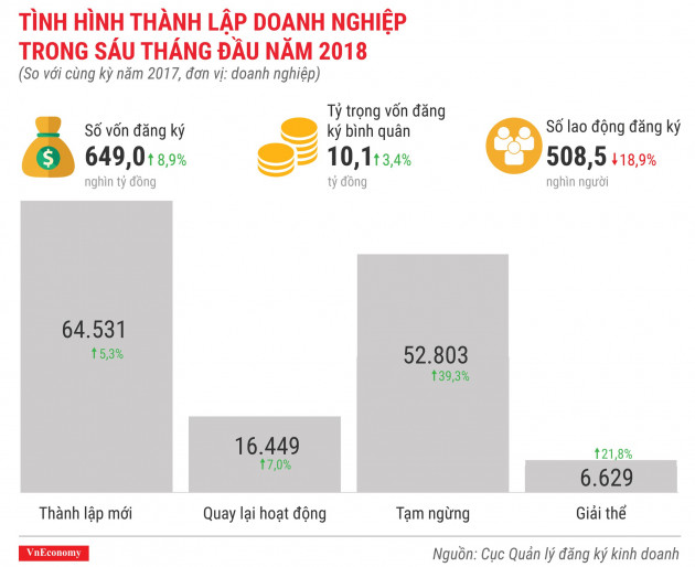 Toàn cảnh bức tranh thành lập doanh nghiệp quý 2/2018 - Ảnh 3.